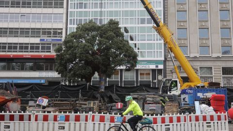 Traslado del metrosidero del Cant�n Grande
