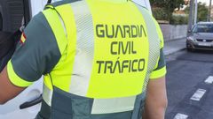 Imagen de archivo de un control preventivo de Tr�fico en la entrada de Camari�as.