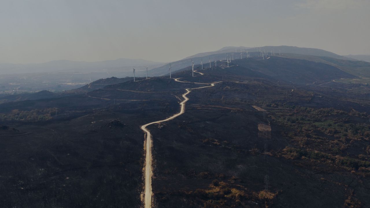 Mejoran los fuegos en Ourense pero dejan imágenes desoladoras