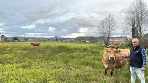 Rafael Pazos, con las dos vacas que quedaron en la finca de Saiar, en el municipio de Caldas de Reis