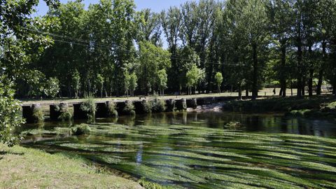 El río Avia, en el área recreativa de O Salgueiral, en Leiro.