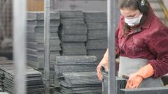 Imagen de una planta de Cupa en la comarca de Valdeorras