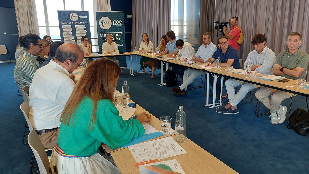 Galicia, en riesgo de perder el tren de la eólica marina frente a otros países europeos