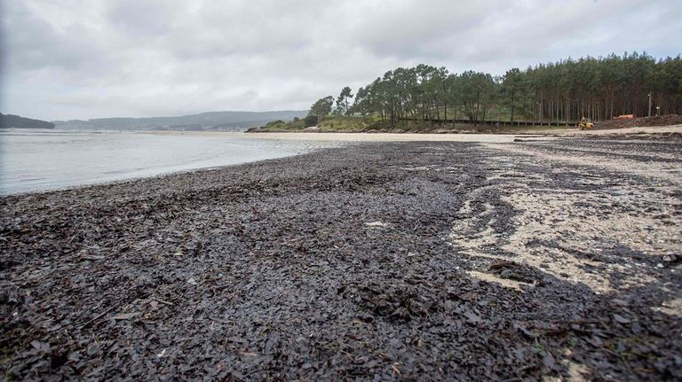 Banco de marisqueo en la playa de Lourido