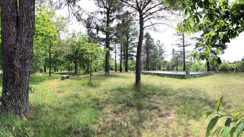 Vista del �rea recreativa cercana al embalse de Guitiriz, que pertenece a la comunidad de montes de Lagostelle y en donde se talar�n varios pinos