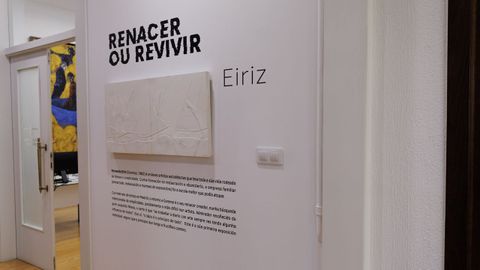 Eiriz expone sus cuadros en la Diputación de Ourense