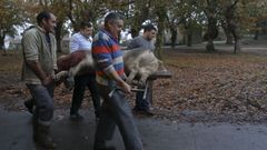 Matanza de San Marti�o en el d�a de la Constituci�n
