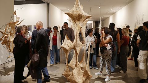 Inauguracin de la muestra Peninsulares, en el Pazo da Cultura de Pontevedra