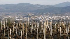 Vi�as de la parroquia de Moreda, con el castillo y el monasterio de San Vicente al fondo