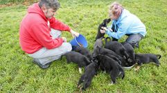 Desbordados por una adorable amenaza