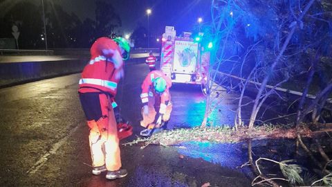 Actuaciones del SPEIS por la ca�da de �rboles en Nar�n