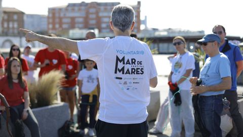 mares