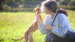 Voluntaria de la protectora Cometa de Nar�n en el refugio de animales
