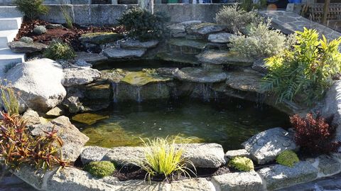 Zona ajardinada con una pequea cada de agua