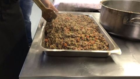 Frankie the King. Servicio de comida natural y cocinada para perros