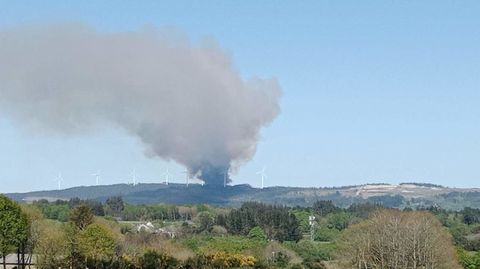 El fuego comenz a primera hora de la tarde del domingo