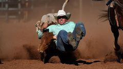 El �lbum del d�a