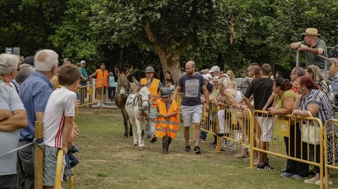 El participante m�s joven en la carrera se dirige a la salida