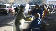 Las pruebas se llevan a cabo en el mercado ganadero de Chantada