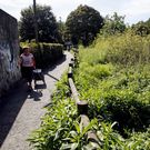 En el callej�n de Hortas la maleza devora el vial. 