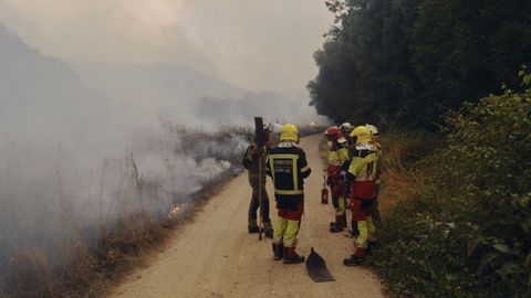 Bomberos forestales en Oímbra.