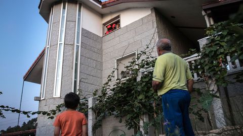 Retirada de un nivo de avispas velutinas en Ceboli�o