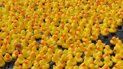 Patitos de goma amarillos