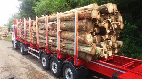 Camión de la marca cargando madera