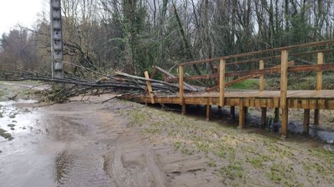 Destrozos en el paseo del r�o Louro