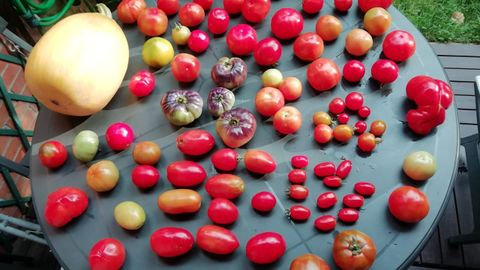 Resultados de la cosecha del r�o Caudal