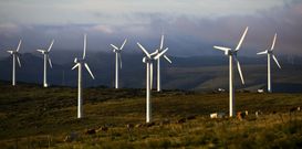 Aerogeneradores instalados en A Capelada, una zona muy productiva para este sector. 