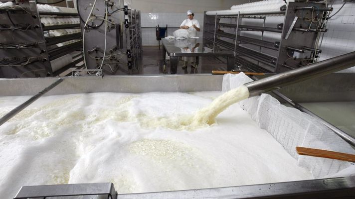 Imagen de archivo de una f&aacute;brica de queso