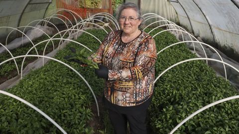 Luisa V�zquez muestra plantas de pimientos que vende en el mercado