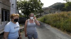 Atemorizados por los ataques de los lobos