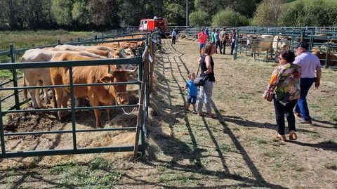 En el recinto ferial estuvieron expuestas alrededor de 200 cabezas de ganado.