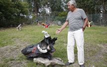 El ourensano Jos� Luis Gurriar�n posa junto a una de las ra�ces expuestas en su finca de Rax�