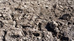 Sequ�a en Catalu�a: la ciudad de Barcelona no llega a los 200 litros por habitante