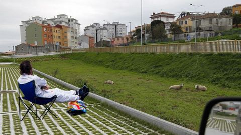 MEME DEL PARKING DE LONZAS