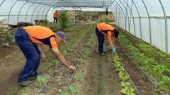 Imagen tomada en la escuela de hortifruticultura de O Valadouro en septiembre de 2016