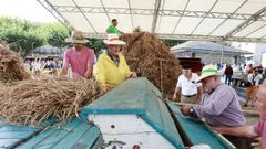 A Festa da Malla celebra a s�a XXXIII edici�n incorporando varias novidades ao seu programa