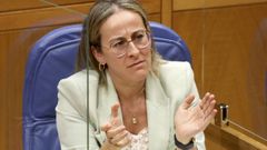 La conselleira de Infraestructuras e Mobilidade, Ethel V�zquez, en el Parlamento