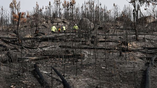 Las asociaciones del sector dicen que si hay actividad en los territorios es m&aacute;s fa&acute;cil prevenir los incendios forestales