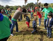 Los voluntarios plantaron ayer una veintena de �rboles. 