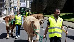 En la protesta de abril hubo vacas, tra�das por algunos ganaderos