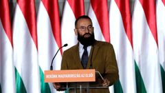 El eurodiputado h�ngaro J�zsef Sz�jer, uno de los fundadores del partido ultra Fidesz