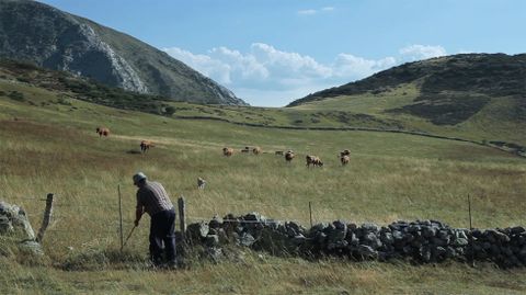 Fotograma del tr�iler de �Vida vaquera�, de Ram�n Llu�s Bande