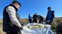 Los participantes en la expedici�n del a�o pasado se quedaron sorprendidos por la gran cantidad de envases.