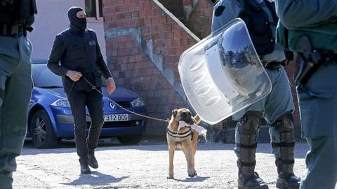 Operativo antidroga de la Guardia Civil en el poblado de O Vao