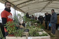 Meis acogi� ayer una feria de intercambio de semillas y de productos ecol�gicos. 