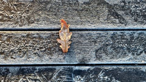 Imagen de la helada que se registr� ayer en Santiago